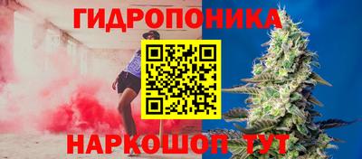 прущие грибы Заволжье
